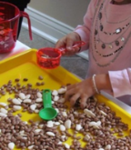 Student standing over a tray filled with beans of a variety of colors and sizes, scooping beans by hand into a cup